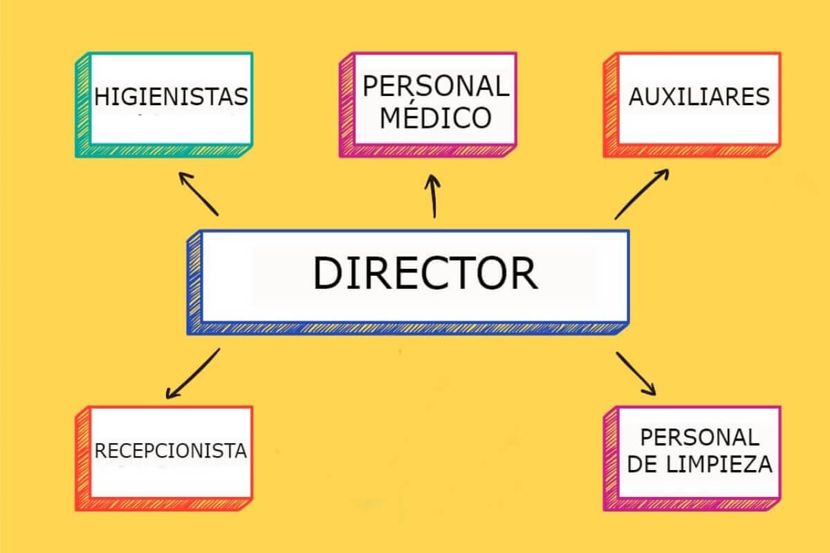5 figuras indispensables en el organigrama de tu clínica dental