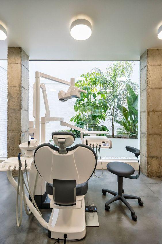 Interiorismo para clínicas dentales: jardín interior